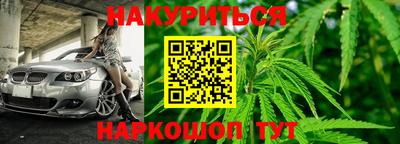 гидра Лесосибирск